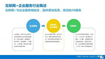 中國互聯(lián)網(wǎng)企業(yè)服務(wù)行業(yè)概述